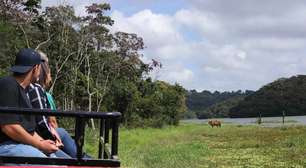 De tour de trator a rapel: passeios diferentes em São Paulo