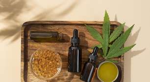 Cannabis medicinal se destaca no tratamento da dor crônica