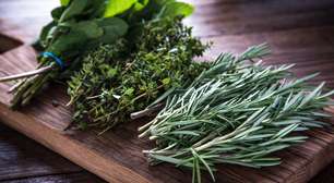 8 ervas da sorte para atrair boas energias para a sua vida