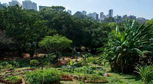 Programa de incentivo à agricultura urbana entra na reta final