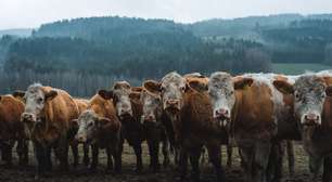 Uma rota rápida contra o aquecimento global que a COP 30 não pode ignorar