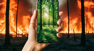 COP da Amazônia catalisou soluções, mas Brasil ainda lida com devastação e excesso de desinformação climática