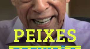 Previsão para o signo de peixes 24 a 30 de novembro