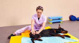 Fisioterapia para animais: conheça as opções e os benefícios