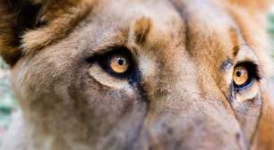 ABcripto elogia novas regras de criptoativos da Receita Federal