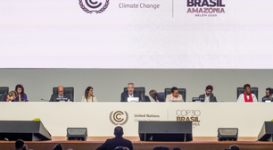 'Longe do ideal' e 'COP da Verdade': o que dizem especialistas sobre o texto final da COP30