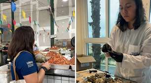 70% de amostras de frutos do mar na costa do Brasil têm microplásticos