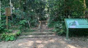 Homem morre após cair de topo de pico no Parque Nacional Tijuca no RJ