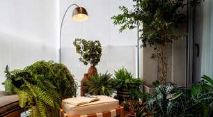 Como iluminar ambientes com plantas: 4 dicas práticas