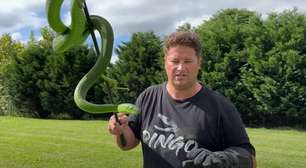 Mamba-verde mata youtuber que filmava a cobra