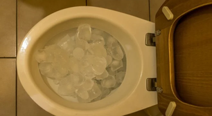 Truque do gelo no vaso sanitário funciona mesmo? Veja porque essa técnica ficou popular e como fazer em casa