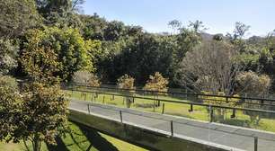 Inhotim: arte, natureza e imersão cultural no maior museu a céu aberto do Brasil