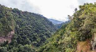 Ninguém merece: saiba quais são os bichos mais feios do planeta