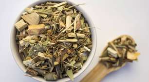 Banho de boldo para descarrego: aprenda o ritual mais poderoso do fim de ano