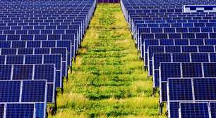 Empresas começam a apostar em energia solar e buscas na área crescem mais de 1000%