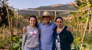 Transição da pecuária para agroflorestas pode dobrar renda rural