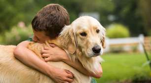 Seres humanos e Golden Retrievers compartilham alguns genes de comportamento, diz estudo