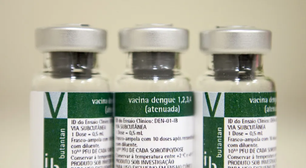 Anvisa aprova 1ª vacina de dose única contra a dengue, desenvolvida pelo Butantan