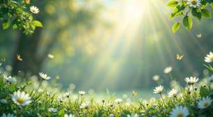 Entendendo a mediunidade: uma ponte entre os mundos