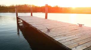 Mexilhão-Zebra: Por que ele assusta cientistas e governos