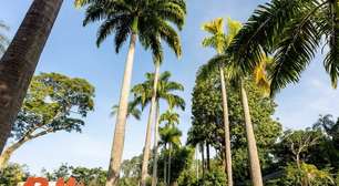 BioParque do Rio encerra Black Friday com oficinas e experiência Zookeeper Kids