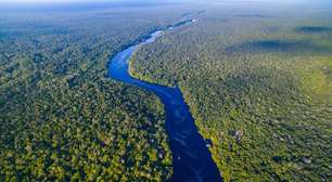 Sustentabilidade: quais foram os principais resultados da COP30?