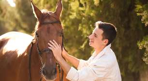 Equoterapia: tratamento com cavalos que favorece a saúde mental das pessoas