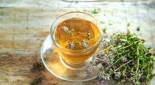 Por que estão falando que o chá de orégano é um dos melhores do mundo? Descubra benefícios e como fazer a bebida