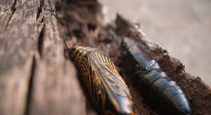 Animais que fazem casulos: tipos e funções na natureza