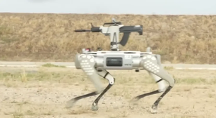 China revela cão-robô armado capaz de atuar em combate urbano