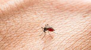 Febre Oropouche ameaça cidades no Norte e desafia autoridades de saúde