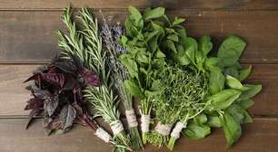 O poder das ervas de proteção para banhos e defumações