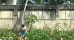 O que se sabe sobre caso de jovem que pulou em jaula e foi morto por leoa em zoológico na Paraíba