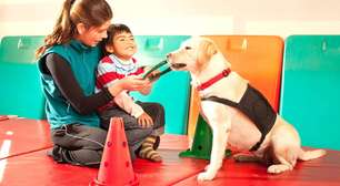 Saiba como a terapia assistida com animais pode melhorar saúde e bem-estar