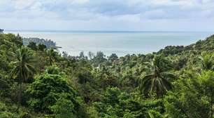 Por que a Mata Atlântica é o bioma mais ameaçado do Brasil?