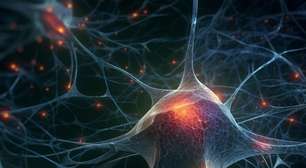 Descoberta italiana indica nova via para reabilitação visual