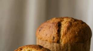 Panetone zero açúcar: aprenda a versão caseira que fica igual ao tradicional