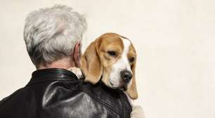 Como cuidar de um cão idoso: 5 dicas essenciais