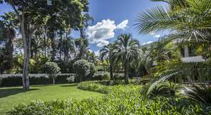 Paisagistas ensinam como manter o jardim bonito sem complicação