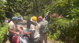 Balão cai em floresta de Petrópolis e é resgatado pelo Inea