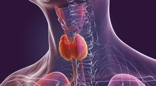 Alterações específicas vistas em um simples exame durante a gestação podem estar ligadas a maior ocorrência de autismo, aponta estudo