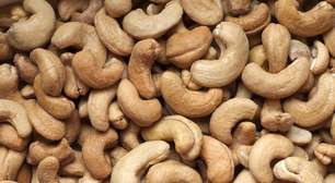 Cientistas brasileiros transformam castanha de caju em energia solar mais barata e eficiente