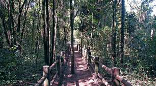 Conheça as atrações Parque Nacional de Brasília