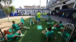 Palmeiras aguarda reforços "caseiros" e não deve mexer na espinha dorsal do elenco