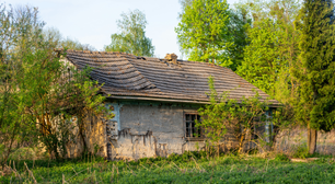 Uma família queria viver exclusivamente de energia solar, água de poço e uma horta. Até que a Itália levou seus filhos embora