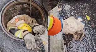 Bombeiros salvam gatinho preso em boca de lobo em BH