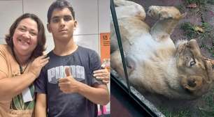 Leoa não comeu corpo de rapaz que invadiu a jaula; causa da morte foi mordida no pescoço, diz laudo