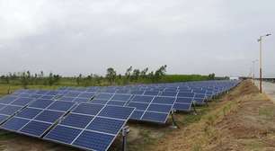 SNEL11 bate 60 mil cotistas e reforça combinação de rentabilidade e respeito ao ambiente