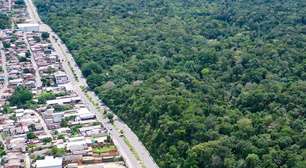 MP do Licenciamento Ambiental Especial é aprovada no Senado; entenda