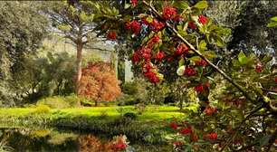 Jardim mais romântico do mundo abrirá excepcionalmente em 8/12